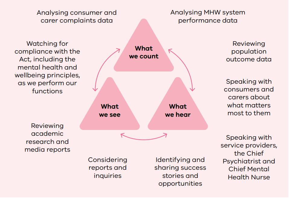The diagram shows the types of activities we are undertaking and will undertake to monitor the Mental Health and wellbeing system.
